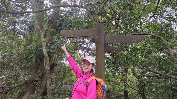 (姨婆趴趴走)第四十七集:新北土城大暖坑山等諸峰攀登連走2738774