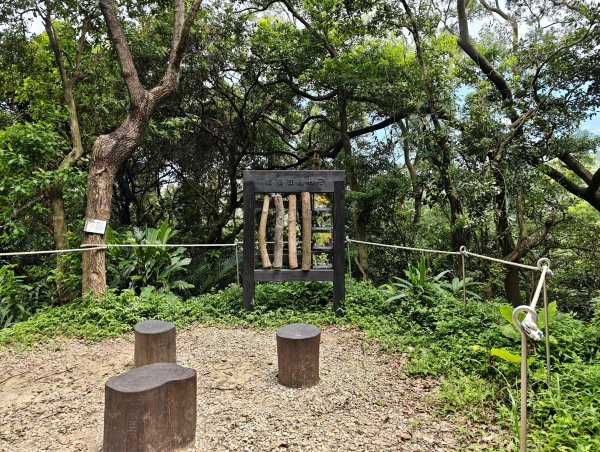 [微笑山線_第三段] 2026_0725 新北桃園登山步道_大湖之森步道3101683