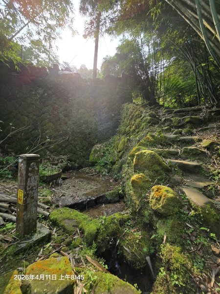 2026-04-11微笑山線：【二格山系】筆架連峰段3034553