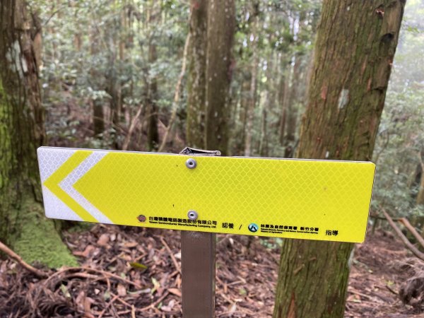 20250713-Ep.09油羅山步道-2025森遊竹縣皮皮獅探險隊2851899