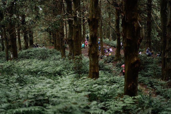 帶媽媽爬長壽山2669496