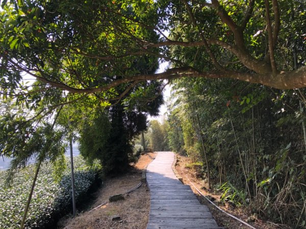 嘉義縣番路鄉二延平山1965548