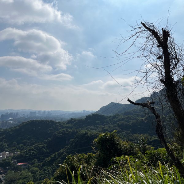 1110709永春崗.象山.拇指山.95峰.南港山步道1758164