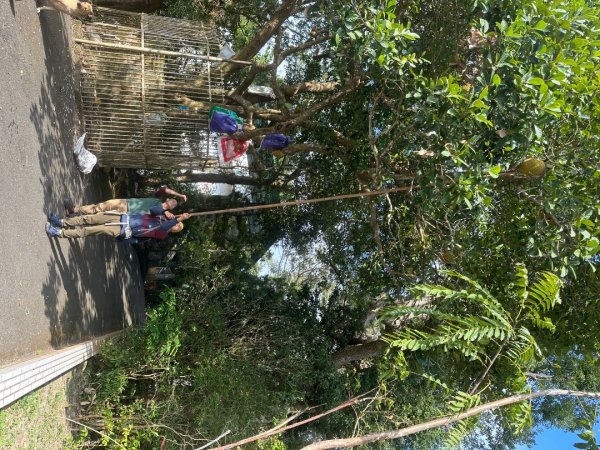 苗栗金童山、玉女山、汶水山2672868