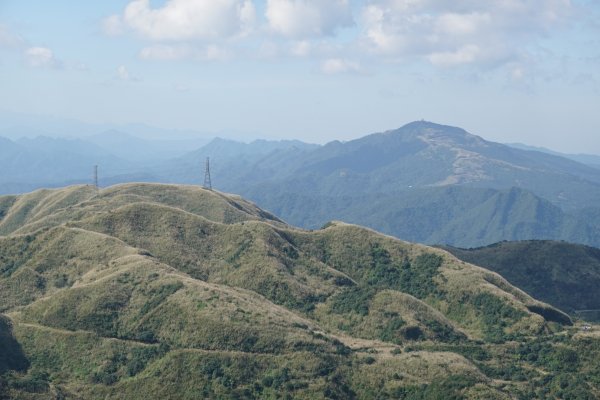 無耳茶壺山步道 - 半屏山芒花季 2023/11/232372324