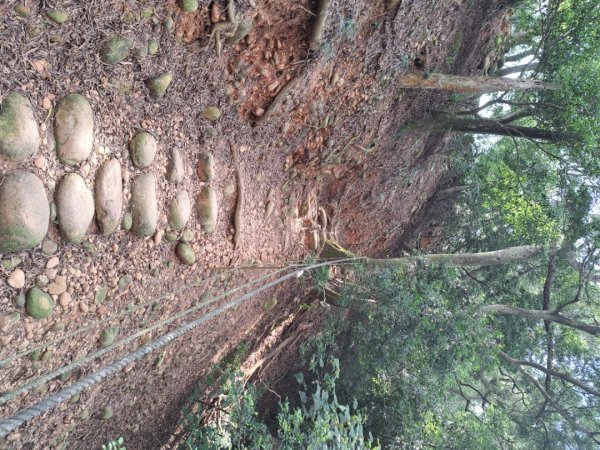 苗栗火炎山，南鞍古道O走3118398