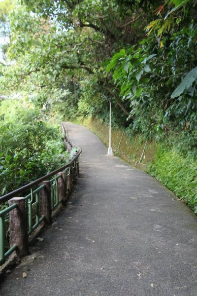 1040128仙跡岩步道3099526