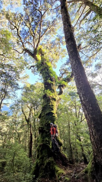 深秋綺麗山景和雲海的饗宴戒茂斯上嘉明湖山遊記2947342