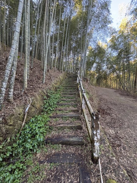 20251221嘉南雲峰、石壁山登山步道2968078