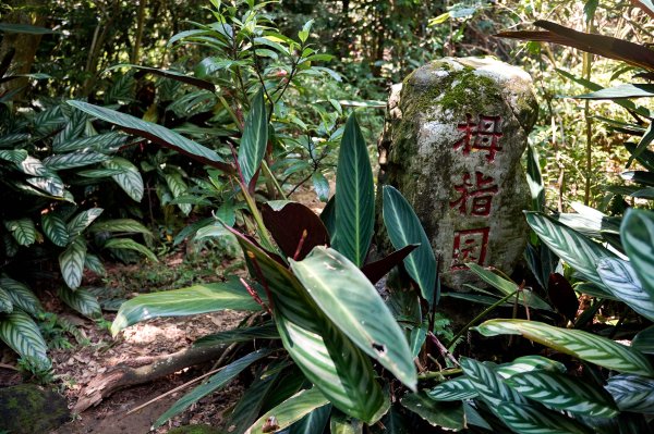 南港山｜小百岳3082108
