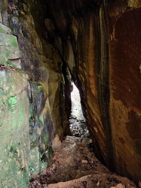 小百岳No.12⛰汐止大尖山2751661