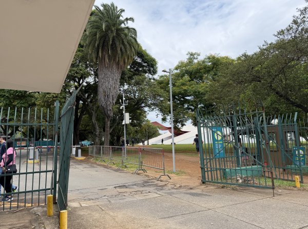 [紐約馬之行-67] 2025_1116 伊比拉布埃拉公園-上2955025