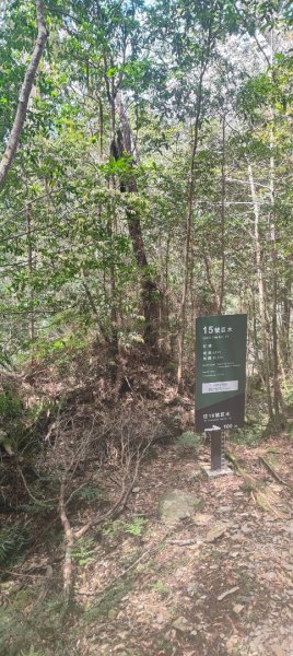 拉拉山國家森林遊樂區2752240