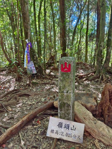 溪頭~金柑樹山/嶺頭山/忘憂森林O形走（沿路竟是耶穌光）1884188