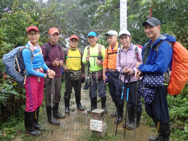 2019-1-3雨霧中捷運南勢角站→外挖子山→南勢角山→春春嶺→彩蝶社區→雙子星→一線天→圓通寺U形