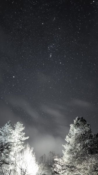 20250228 桃山+池有山2919195