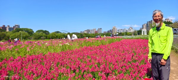 首訪 #古亭河濱公園 #花海 3/153015679