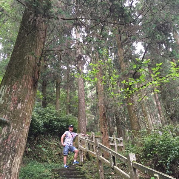 奮起湖半日遊