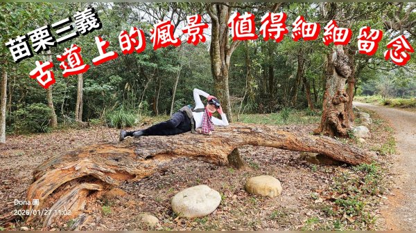 20260127三通嶺山.三義山(大桁茂山).慈濟山.大坪山大O走