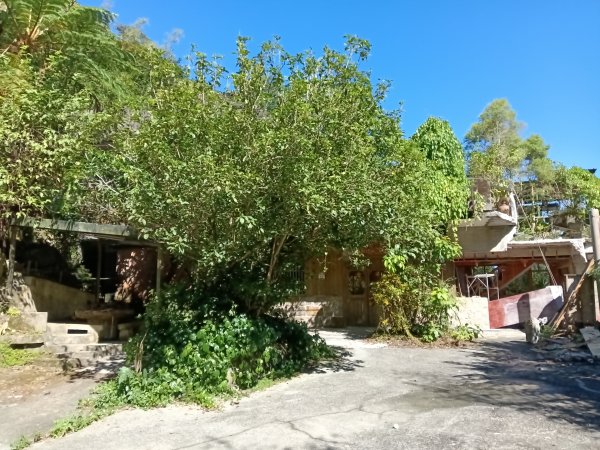 汐止區白雲古道+白雲寺O型2911950