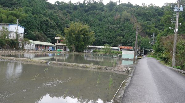 百年環山水圳步道登山健行趣(步道)1555099