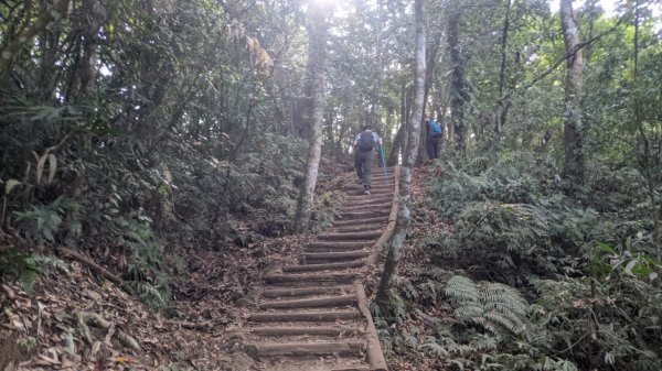 馬那邦山步道(珠湖登山口上)1585906