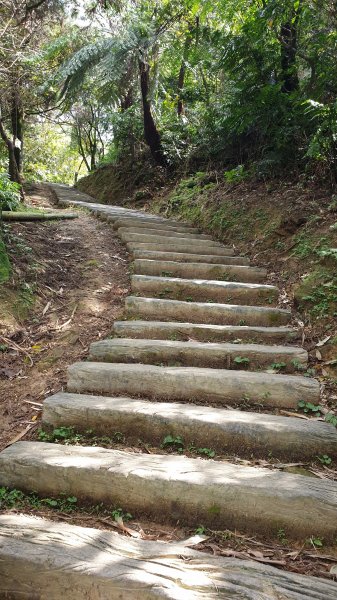 姜子寮山姜子寮瀑布1067262