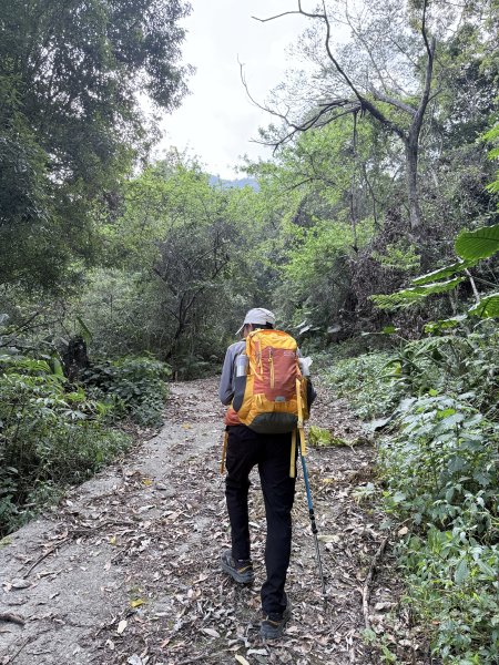 完登新南橫三星-馬馬宇頓山   2026.3.273027488