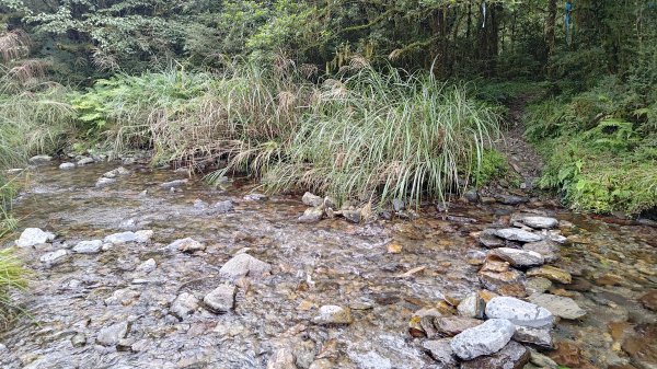 棲松縱走未竟2918334