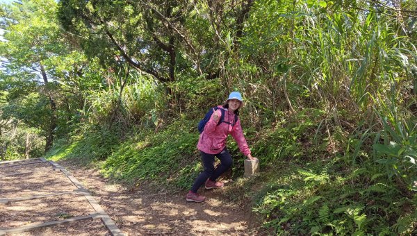 (姨婆趴趴走)第三十一集:新北金山獅頭山公園、神秘海岸、老街縱走2340218