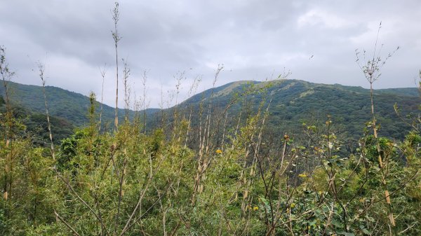 皇帝殿，獅公髻尾山，指南宮千階步道（竹柏參道），十六分山，貓空尖，絹絲瀑布步道2394553