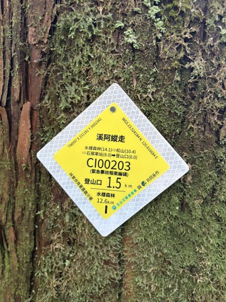 20251225塔山步道(大塔山)2970307