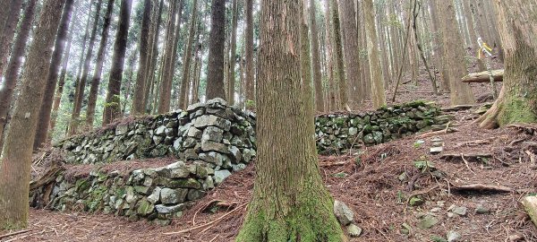 2025/05/01-凌空廊道上李崠山2775483