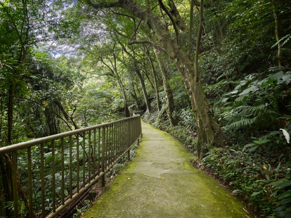 [淡蘭古道] 2026_0523 南路第一段_糶米古道3069481