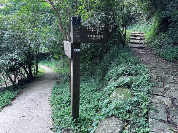 台北大縱走第二段2786939