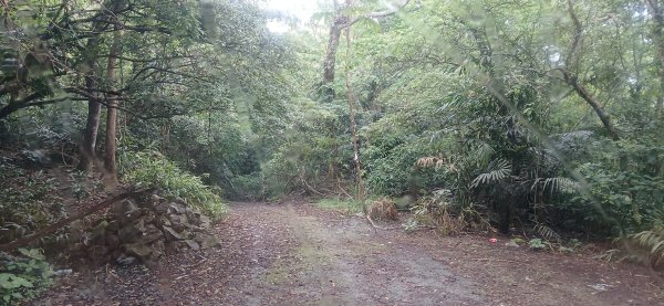 2025 4/5 加奈美山2754458