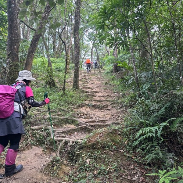 微笑山⛰️線-大棟-二格山-五分山-天上山-鳶山💎12條步道完成💙2836379
