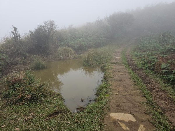 2025臺北大縱走第三段：小油坑至風櫃口2973462