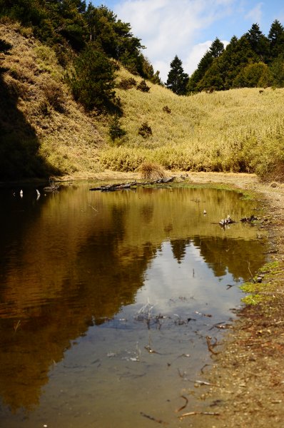 武法奈尾山天巒池872515