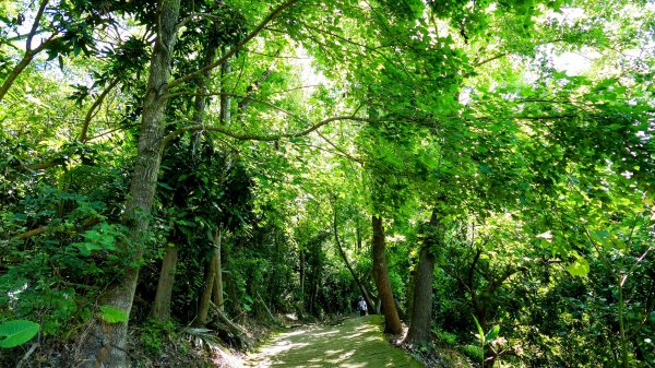 三汀山,苗圃,蝙蝠洞2787355