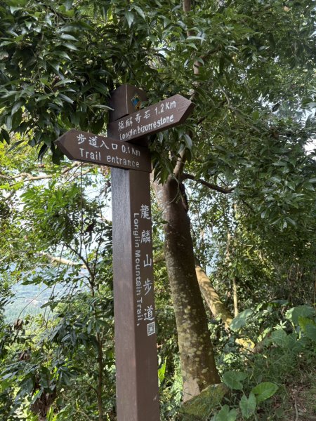 20251010南化龍麟山步道2914985