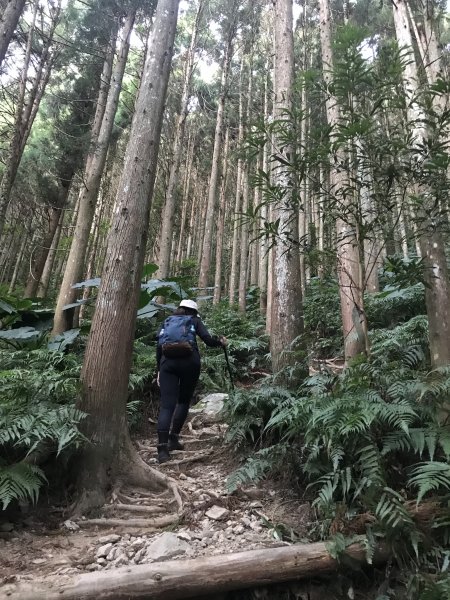 登山野營兩相宜~高島縱走1488832