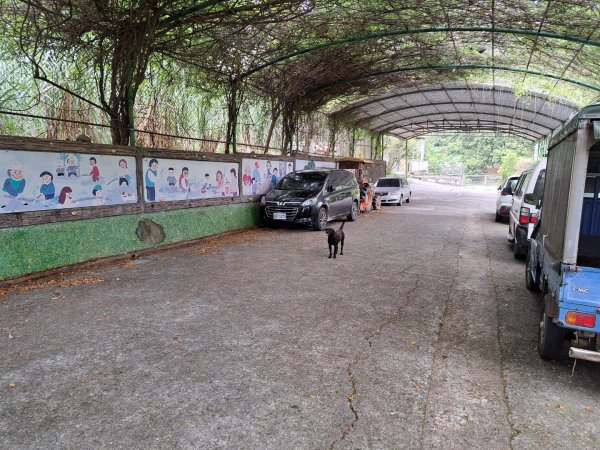 2026森遊竹縣：寶山迴龍步道，環湖步道3107248