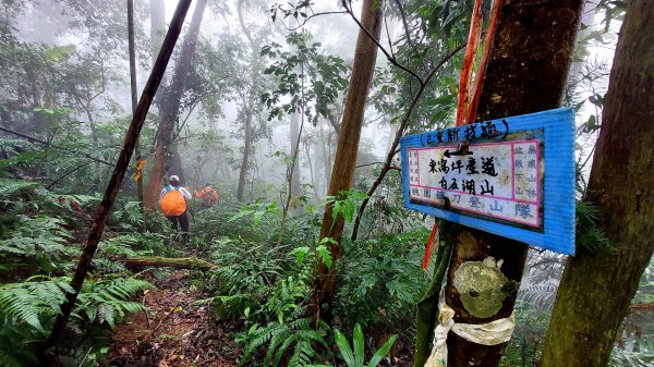 新竹內灣麥樹仁山五連峰2763849