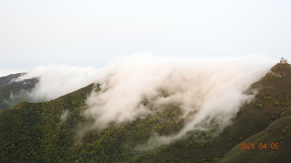 0405陽明山再見雲瀑，今年以來最滿意的一次1335488