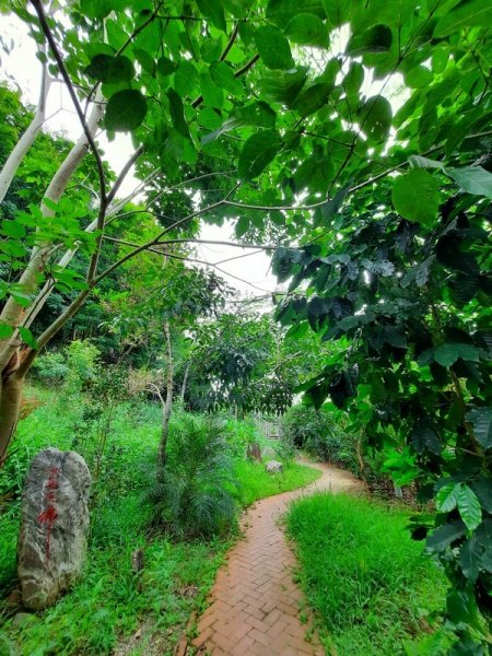 《台中》后里鳳凰山觀音山步道O巡08301083660