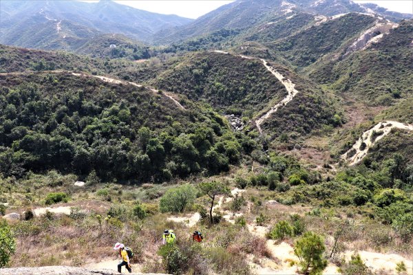 HK - 青山復地1482569