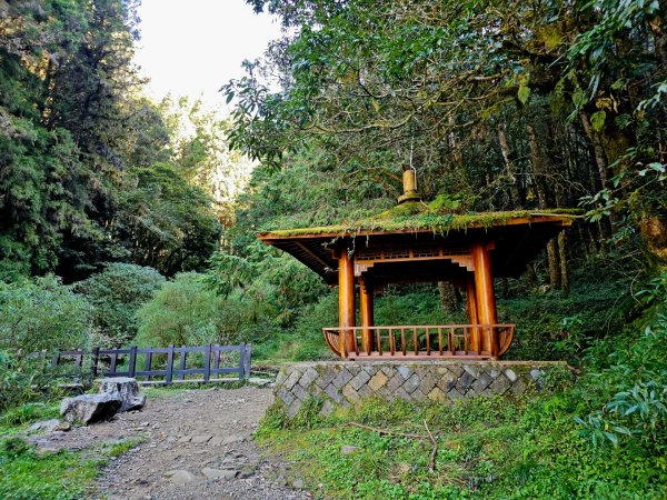 特富野古道-2024嘉遊好步道．來嘉走走2674387