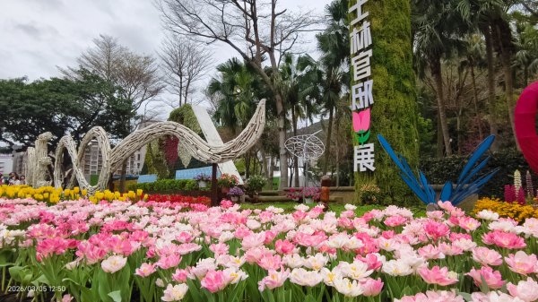 #士林官邸 #鬱金香 #碧山巖 #椿寒櫻 #國父紀念館 #八重櫻 3/5 #三層崎 #嗄嘮別 3/63010393