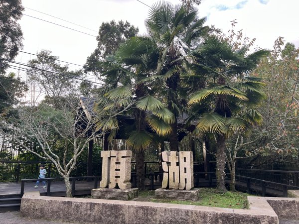 [嘉遊好步道．來嘉走走-04/10] 2024_1011 阿里山頂湖步道2624780